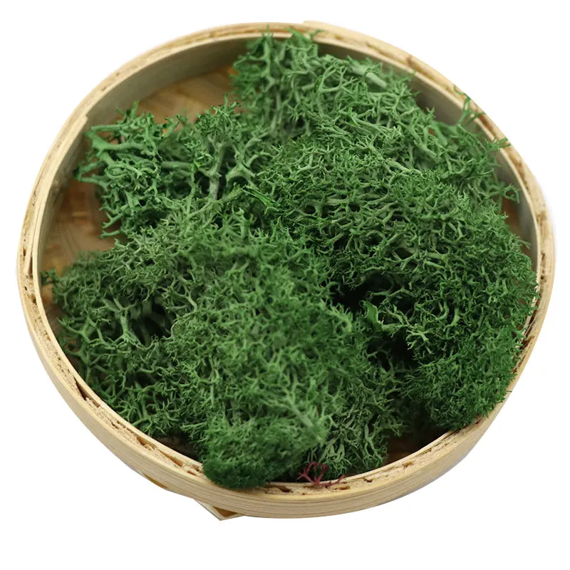 Искусственное зеленое растение неувядающий искусственный цветок мох трава для