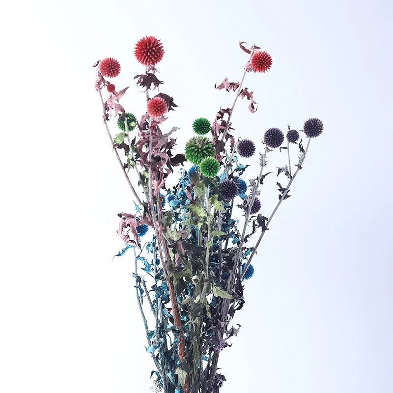 

Echinops Sphaerocephalus Blue Planet Dried Flowers Home Decor Wedding Decoration Dekoration Decoracao Para Casa Plants Easter