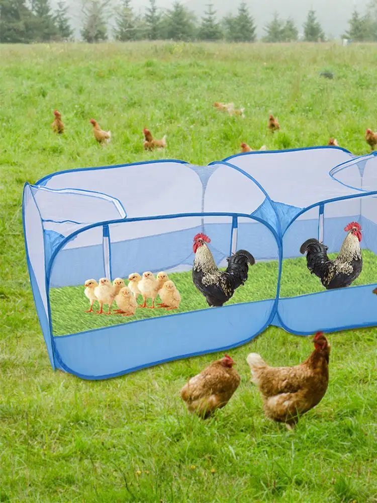 En Uygun Fiyatli Seyyar Tavuk Kumesi Aliexpress Uygulamasinda Kuresel Seyyar Tavuk Kumesi Saticilarindan Muhtesem Seyyar Tavuk Kumesi Firsatlari En Uygun Fiyatli Seyyar Tavuk Kumesi Aliexpress Uygulamasinda Kuresel Seyyar Tavuk Kumesi Saticilarindan Muhtesem Seyyar Tavuk Kumesi Firsatlari