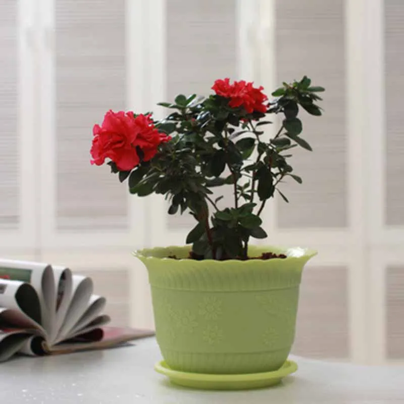 Round Plastic Plant Flower Pot Home Office Decor Planter Pots with Trays Bonsai Container Succulent Plants S-XXL 1 PC | Дом и сад
