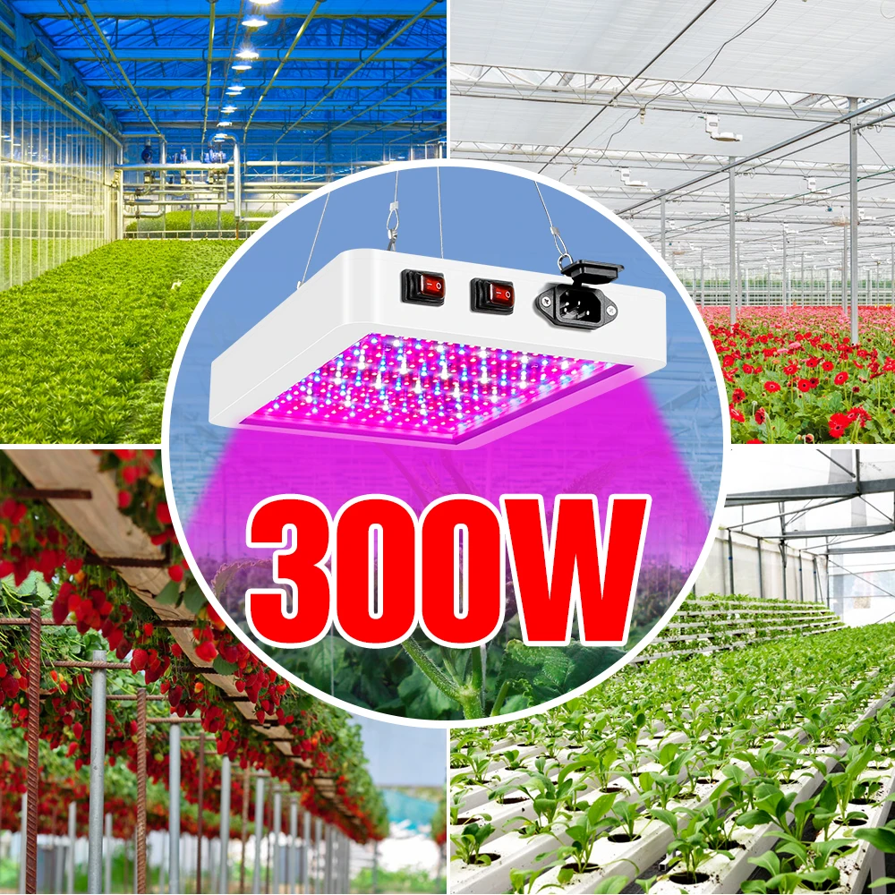 

LED Full Spectrum 300W 500W Grow Light Greenhouse Plant Growth Lamp EU US UK Plug Seedling Fito Light LED Hydroponics Lighting