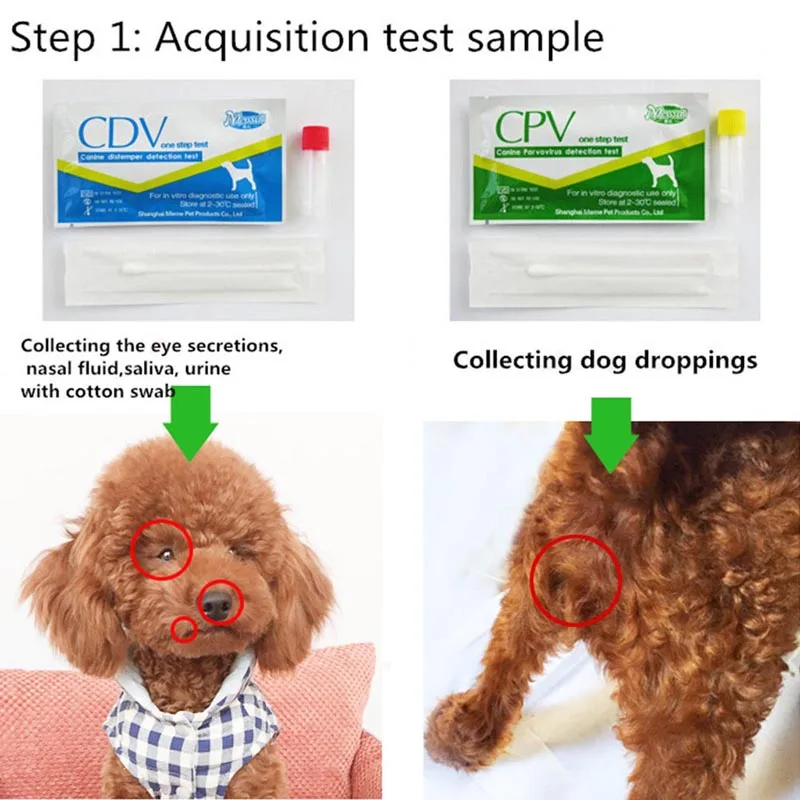 Canine Dog Distemper вирус CDV/CPV Home носовые тампоны тест на здоровье | Дом и сад