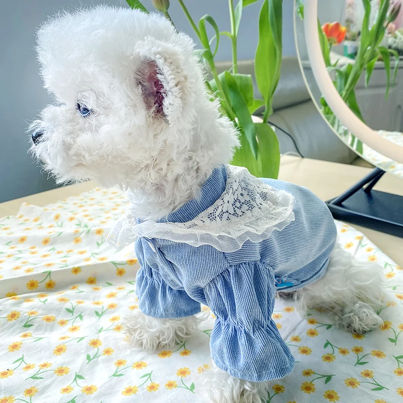 PETCIRCLE одежда с принтом в виде собак кружево вельветовое пальто подходит для