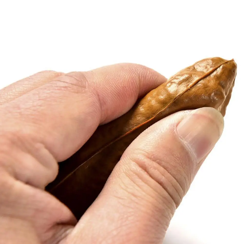 

April Fools' Day Practical Jokes Simulation Fly Cockroach Funny Joke Tricky Decompression Toy Kids Adult Gift