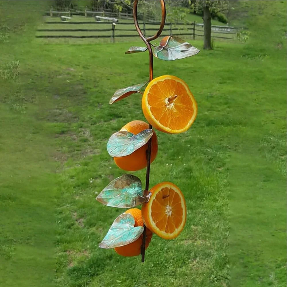 

Bird Feeder for Outdoor Orange Fruit Hanger Hook for Bird Feeder Drinking