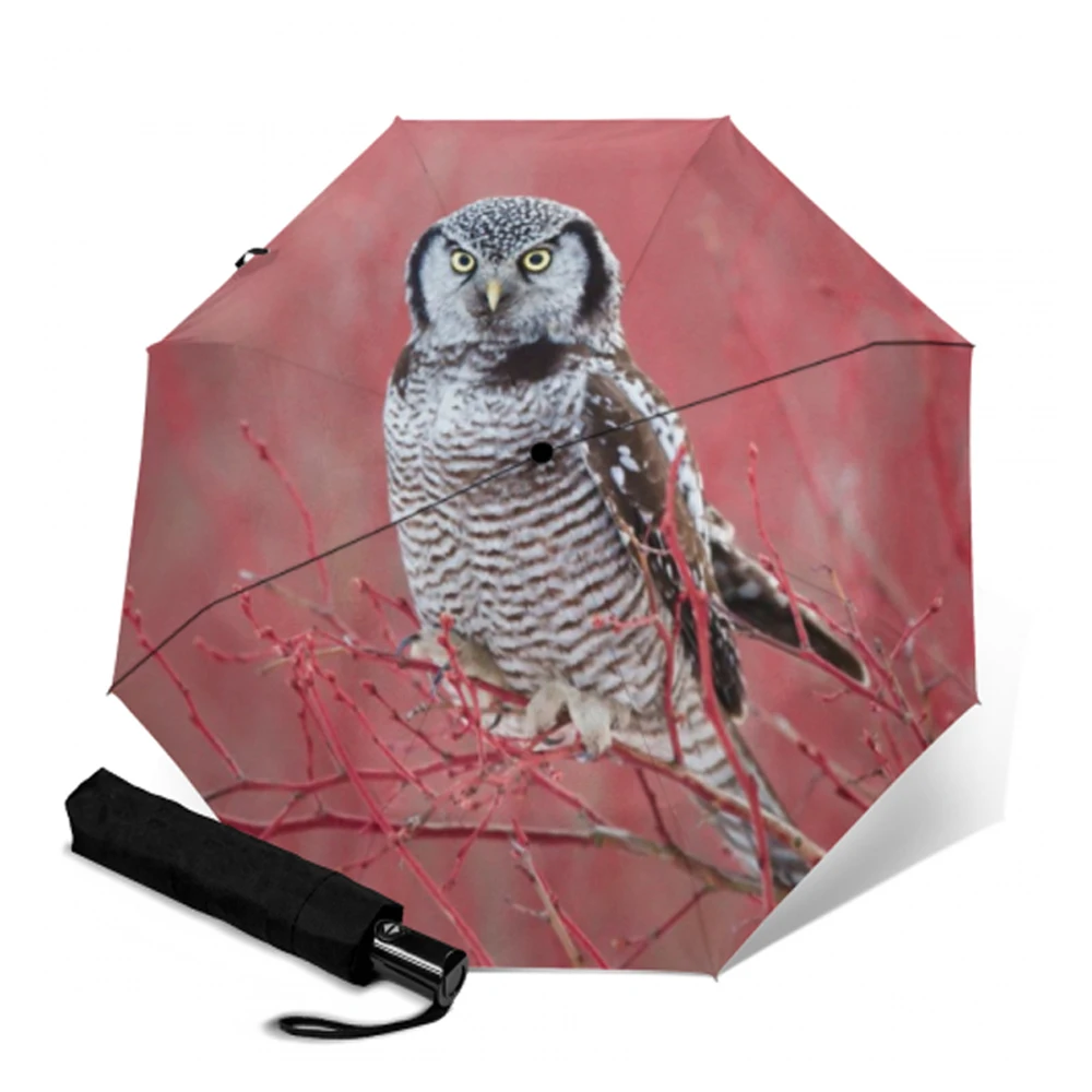 Креативный Зонт с принтом милой совы автоматически открывающийся и