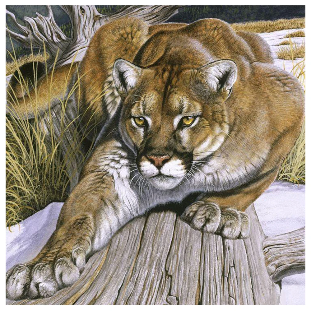 Животные леопард Diy 5d квадратная алмазная живопись наборы для вышивки крестиком