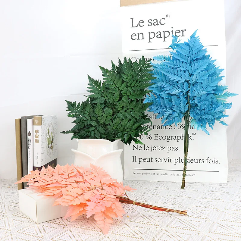 

3pcs/Lot Bleached Multicolor Long Lasting Fiddlehead Ferns Dried Natural Arachniodes Leaves Preserved Flowers For Wedding Offic