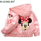 Осенняя Новинка, детская одежда, куртка с мультяшным Микки и Минни, уличная одежда для мальчиков и девочек, куртка, детская куртка с капюшоном