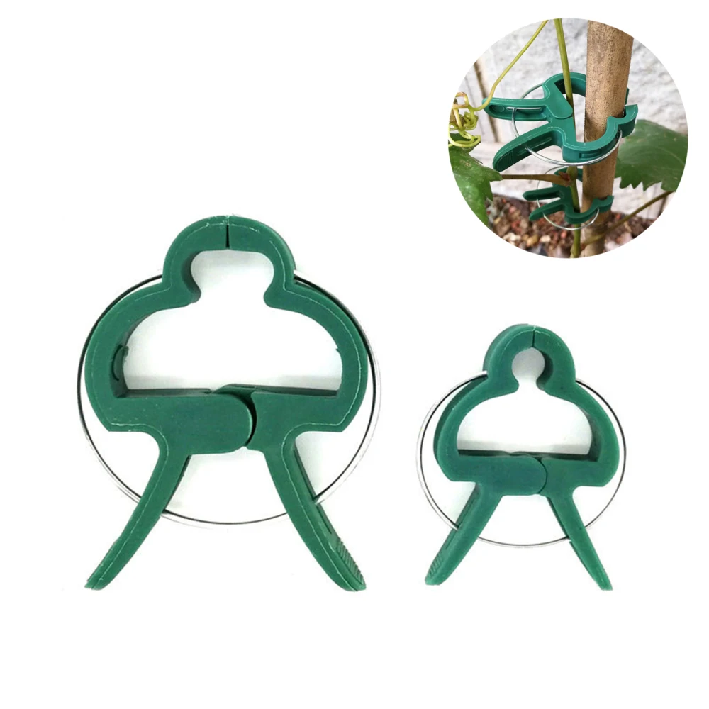

Plant Support Clamp Greenhouse Bracket Gardening Supplies Soft Grow Into Upright Lattice Clamps