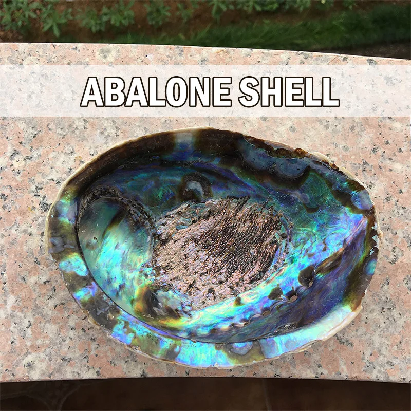 13-18 см натуральный Abalone Shell неполированный мыльница раковины творческие ювелирные изделия получает мыльница шалфей горшок для оформления дома подарок