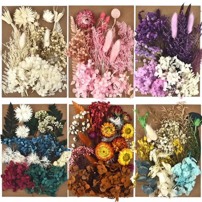 1 Pack Dried Flowers Preserved Flower For DIY Resin Crafts Making Fit Aromatherapy Candle Epoxy Frame Embossing Decoration