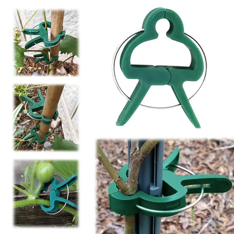 100 шт. завод Поддержка зажимы сада цветок орхидеи для стержня виноградной лозы