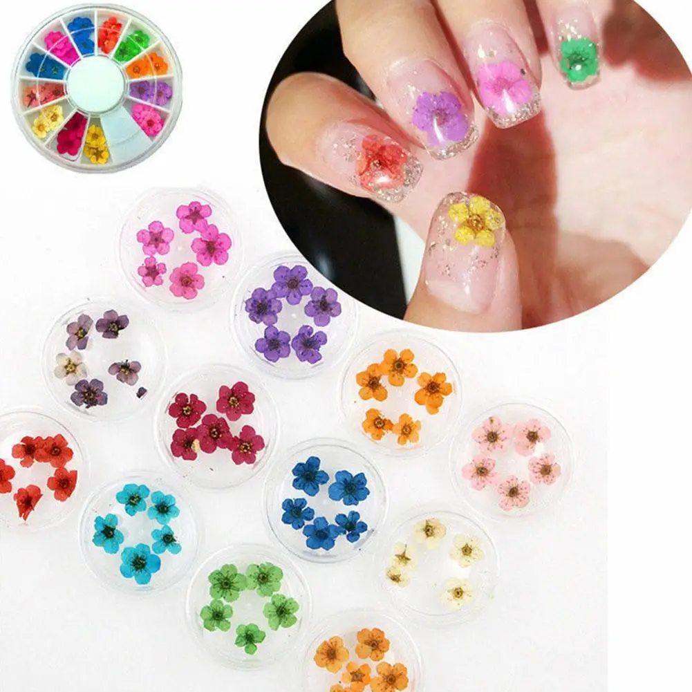 1 Box 3D Mixed Dried Flower Nail Decoration Jewelry Manicure Color Floral Art Decals 12 Accessories Natural For DIY Sticker O6N8