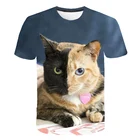 Симпатичная футболка для девочек, корейская модная 3D футболка в стиле улззанг, кошка, животное, мультяшная футболка, Детские рубашки, повседневная детская одежда для девочек, футболка