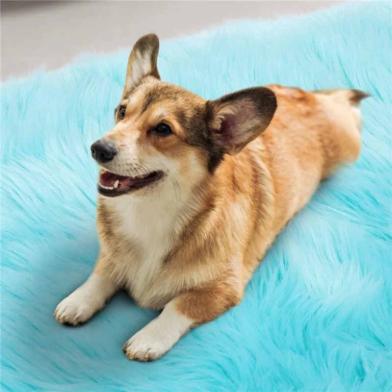 

Luxury Fluffy Area Rugs Furry Rug for Bedroom Faux Fur Sheepskin Nursery Rugs Carpet for Kids Room Living Room Home Decor mat