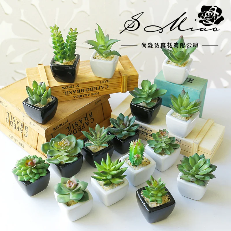 

Mini succulent plant bonsai (including basin) flower creative decoration plant straight
