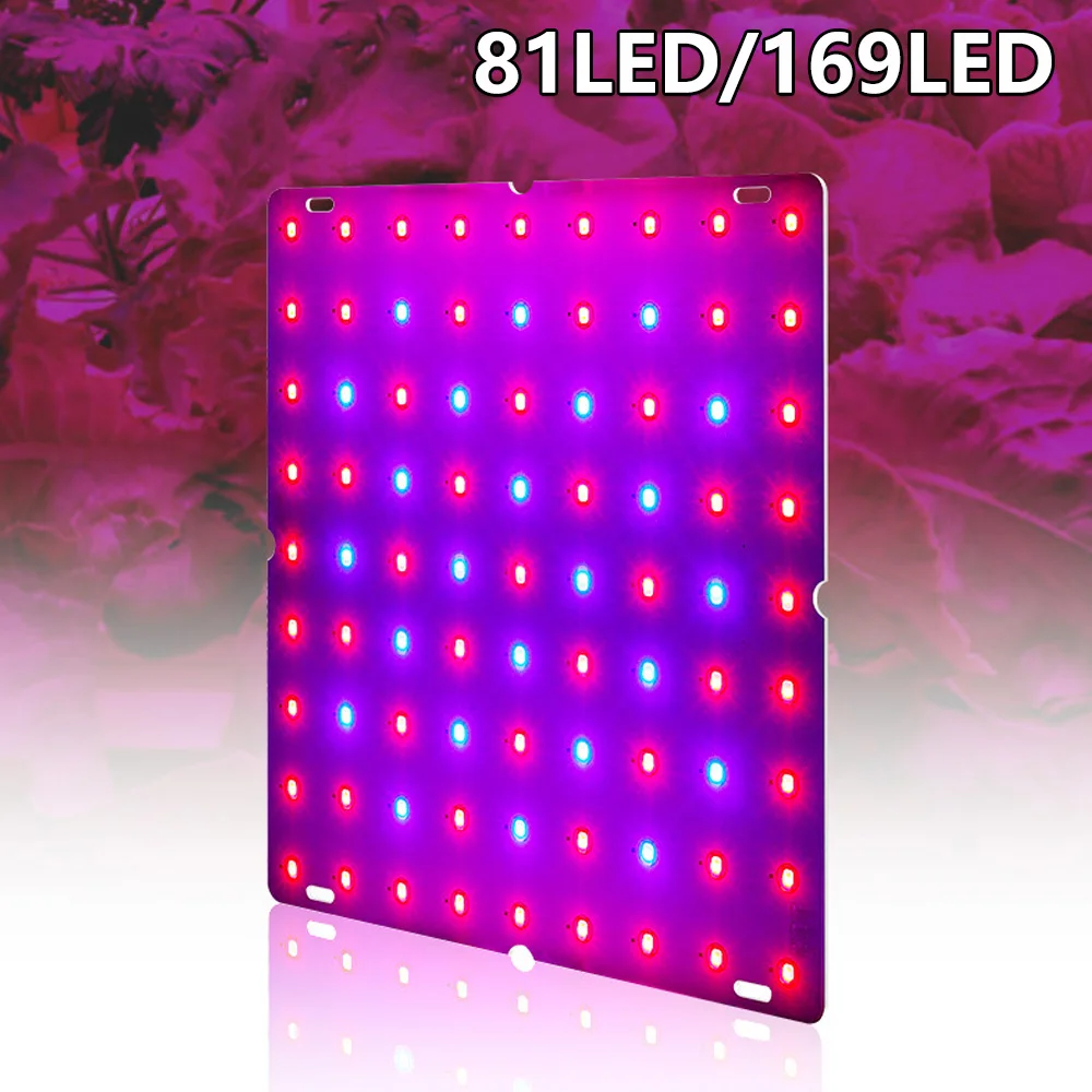 

3000W LED Growth Lamp For Plants Led Grow Light Full Spectrum Phyto Lamp Fitolampy Indoor Herbs Light For Greenhouse Grow Tent