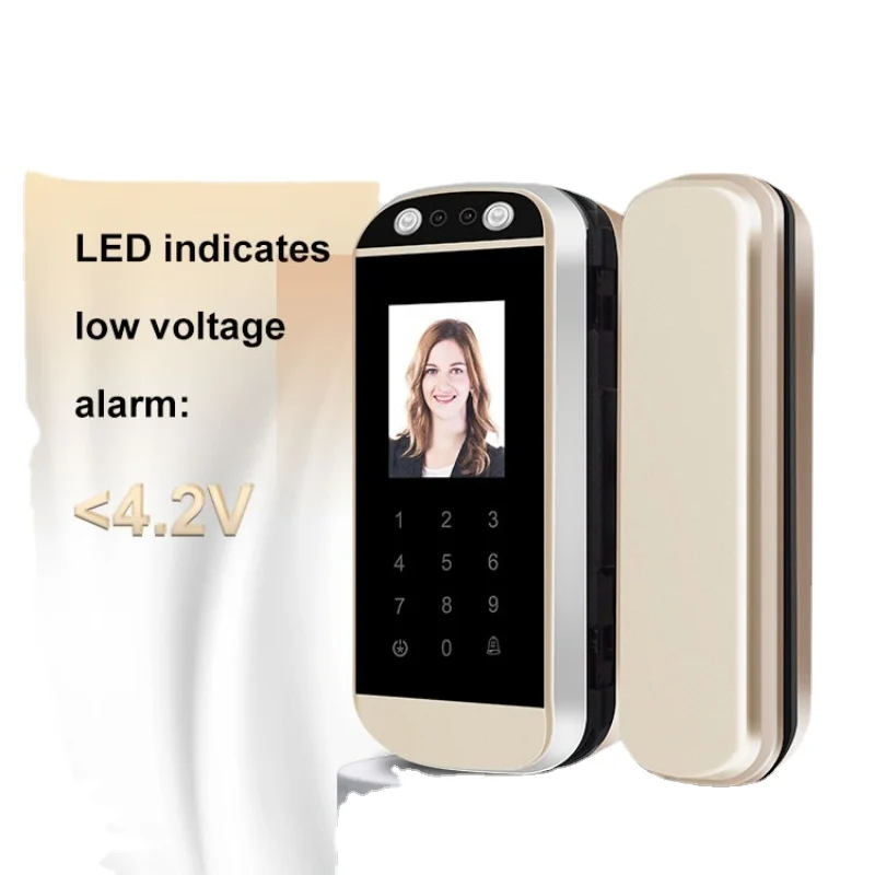 

Digital Aluminum Smart Fingerprint Remote Control Sliding Push Face Recognition Glass Door Lock