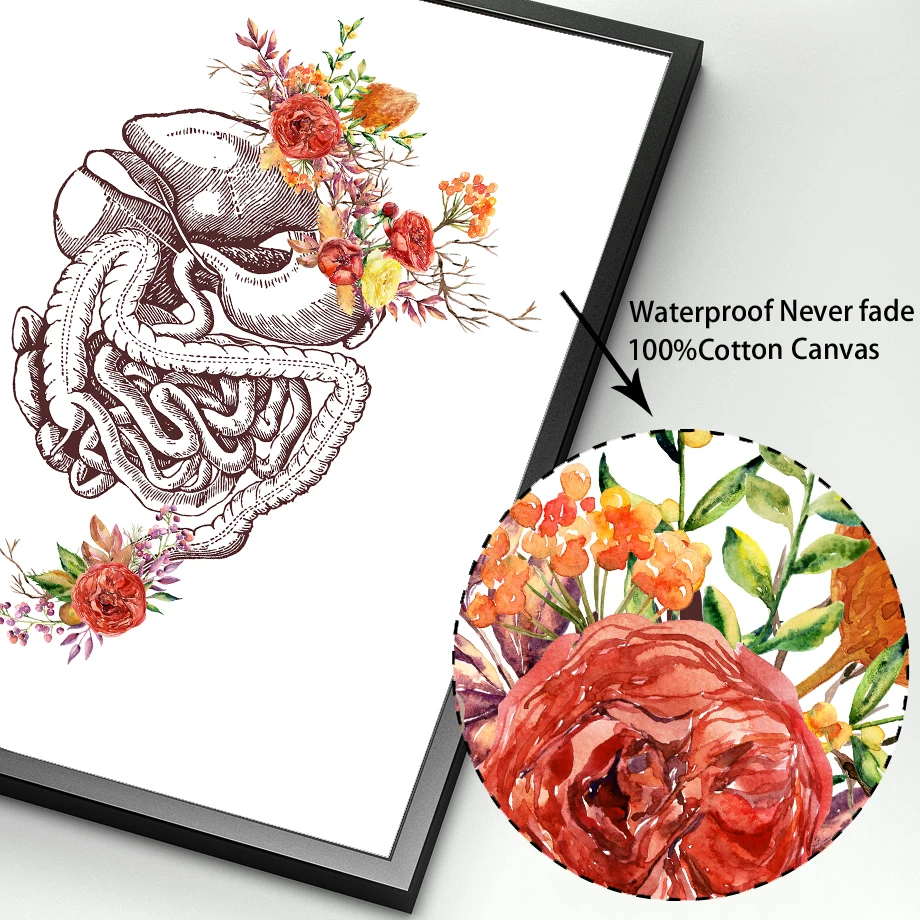 

Anatomy Art Human Heart Brain Lungs Wall Art Canvas Painting Nordic Posters And Prints Wall Pictures For Doctor Office Decor