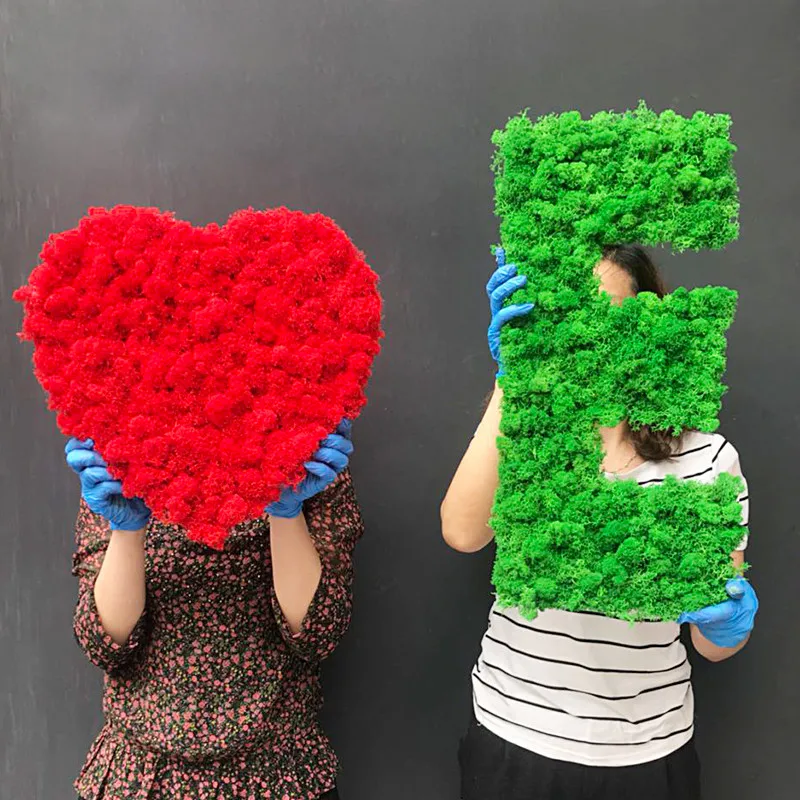 

20g Artificial plant eternal life moss / Garden home decoration wall DIY Flower material Mini Garden Micro Landscape Accessories