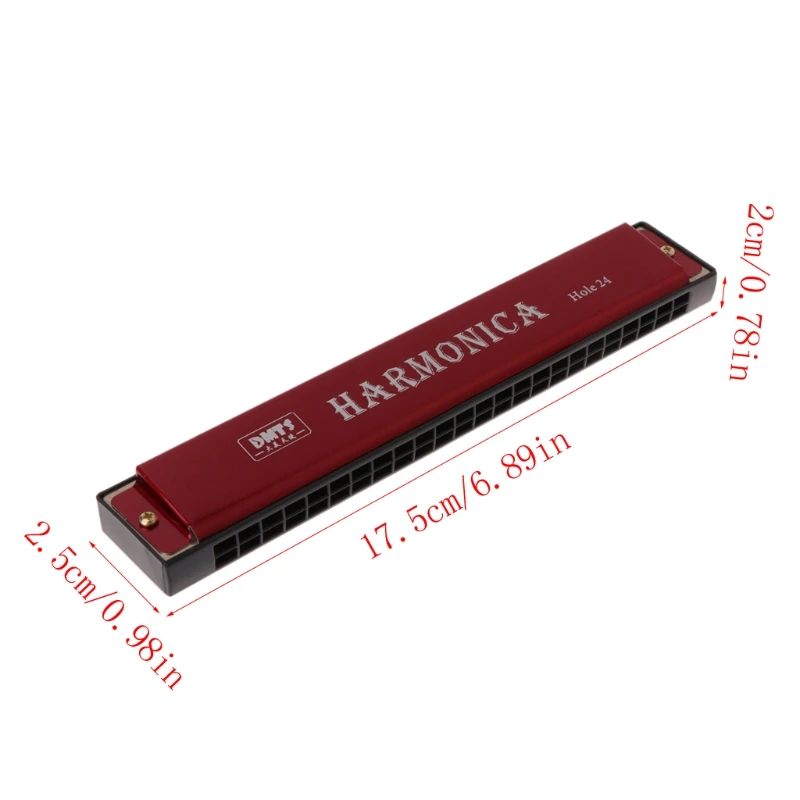 

Professional 24 Hole Harmonica Mouth Metal Organ for Beginners Drop Shipping