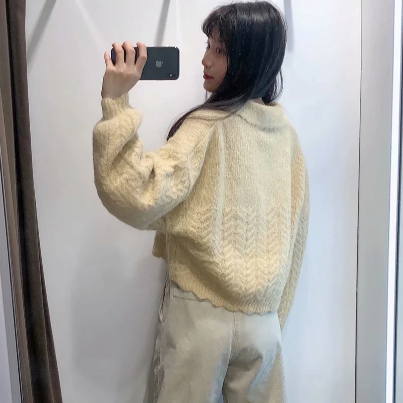 

2020 New Autumn Women Knitted Sweater Long Sleeves Turn-Down Collar Pullover Sweater Female Fashion Casual Women Clothes