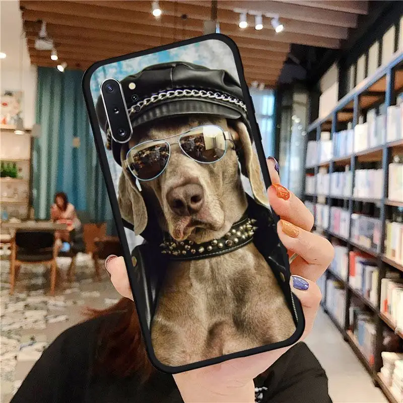 

Weimaraner dog Phone Cases For Samsung A50 A51 A71 A20E A20S S10 S20 S21 S30 Plus ultra 5G M11 funda cover