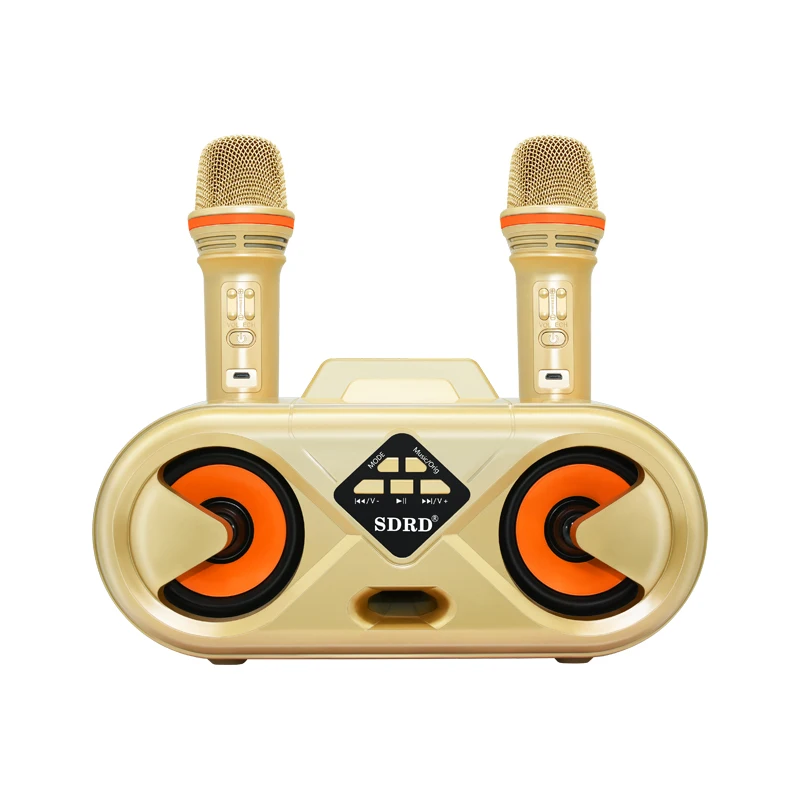

Двойная Bluetooth-Колонка SD303 с 2 беспроводными микрофонами, для улицы, семейный KTV стерео микрофон, большой звук, 20 Вт SDRD Sd 303, комплект динамиков