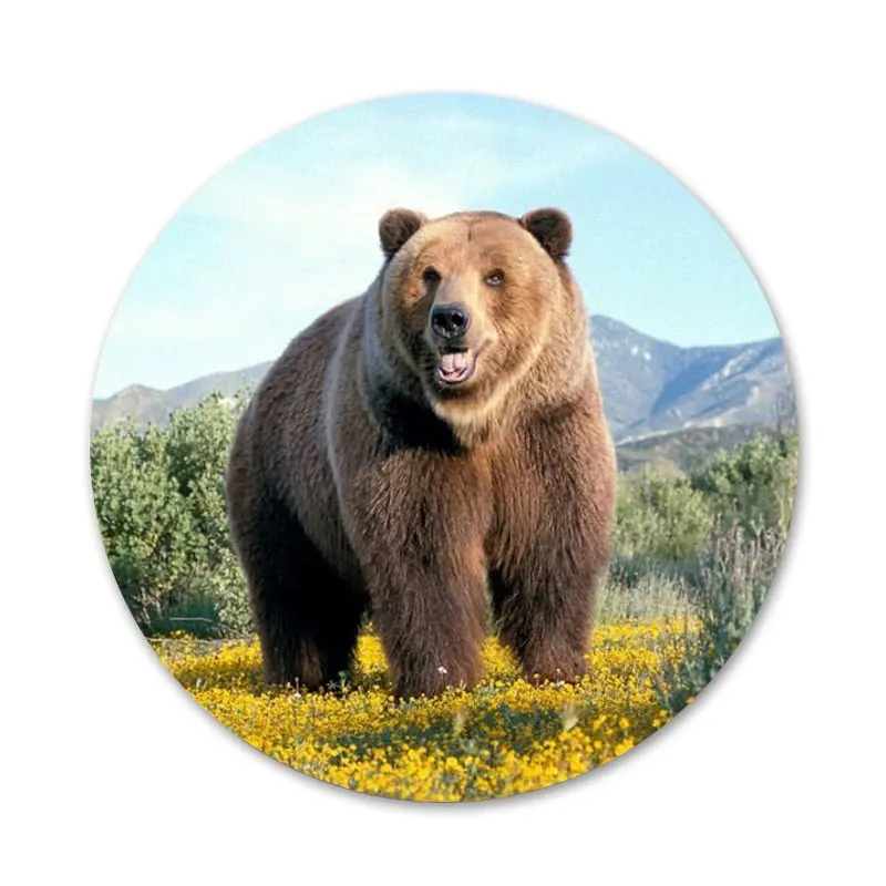 

58mm Russia Black Bear Advantageousc Icons Pins Badge Decoration Brooches Metal Badges For Backpack Decoration