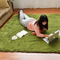 thick silk plush carpet simple modern living room bedroom tea table window tatami bedside carpet full shop