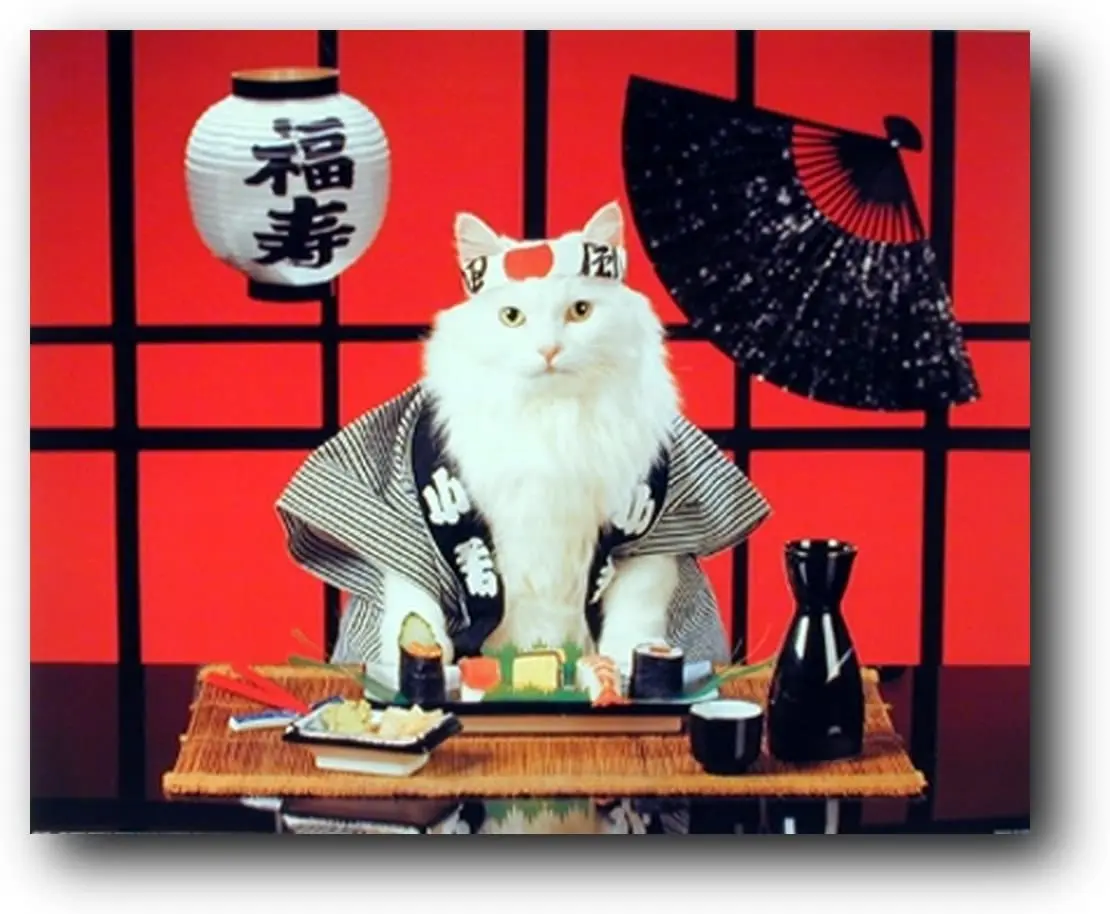 

Sushi Cat (Japanese) Cute Kitten Art Print Poster