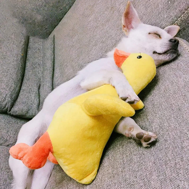 Pet dog toy vocal plush duck VIP teddy the bear law venting bite screaming chicken pillow Small Yellow Goose Soft Material Safe |