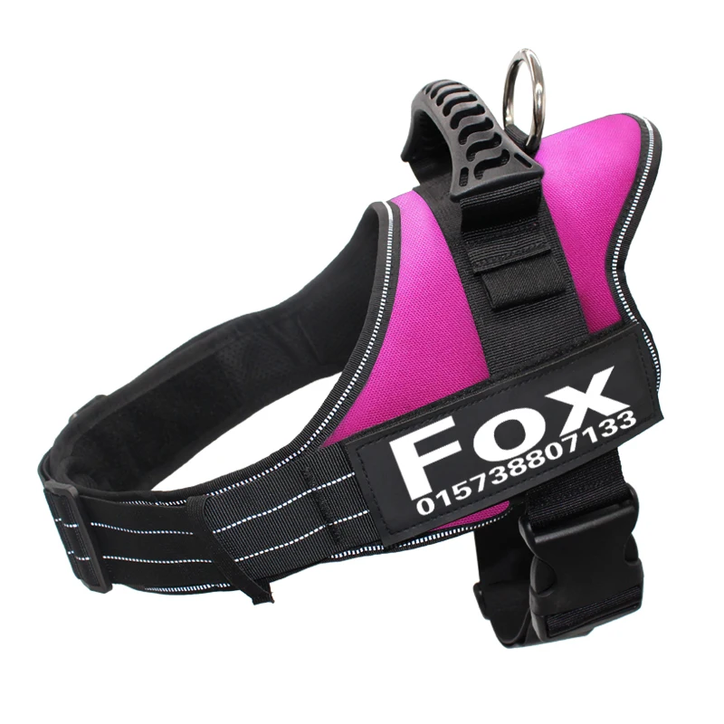pink FML домашнее животное ремни для собак персонализированные нашивки на заказ идентификационная бирка для воротник Светоотражающий Поводок для собак, комплект одежды с жилетом Пластик ручкой для домашних животных имя - Цвет: pink