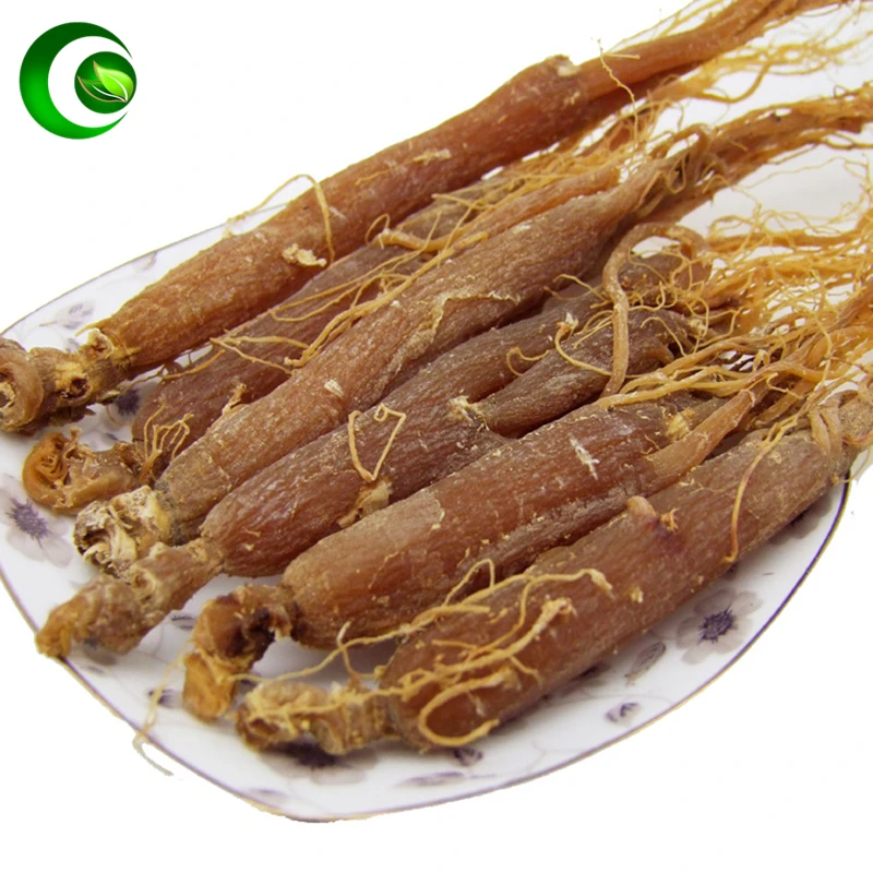 

Korean Red Ginseng Radix Ginseng Rubra,Red Ginseng Root Red Ginseng Powder