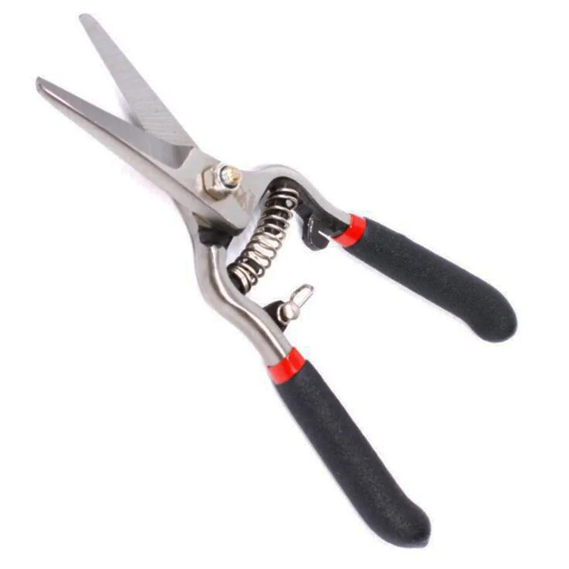 

8 Inch Florist Scissors for Herbs Grape Trimmers with Spring Curved Safety Lock Pruning Shears Multi Use Garden Snips