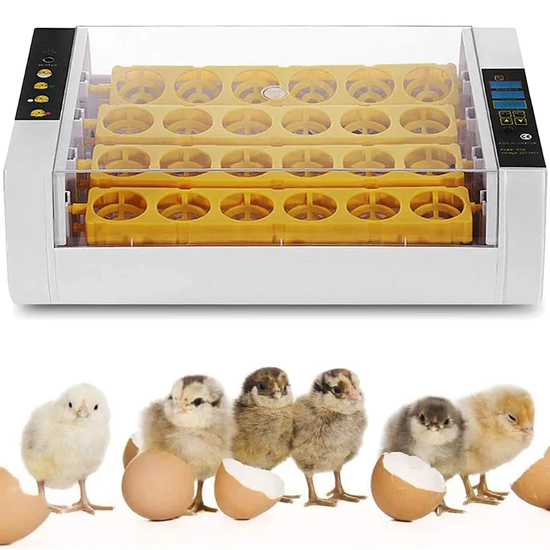 Incubação com Tela Controle de Temperatura e Umidade para Frango Ovos Incubadora Automática Girando Led Codorna Pássaro Incubação Ferramenta 24