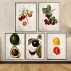 Картина на холсте клубника мангостин авокадо настенные художественные скандинавские плакаты и принты для гостиной украшение на стену картина без рамки