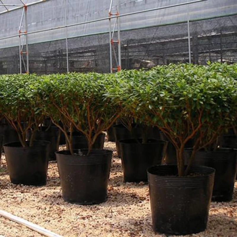 100Pcs Seedling Plants Nursery Bags Organic Biodegradable Grow Pot Fabric Eco-friendly Ventilate Growing Planting | Дом и сад