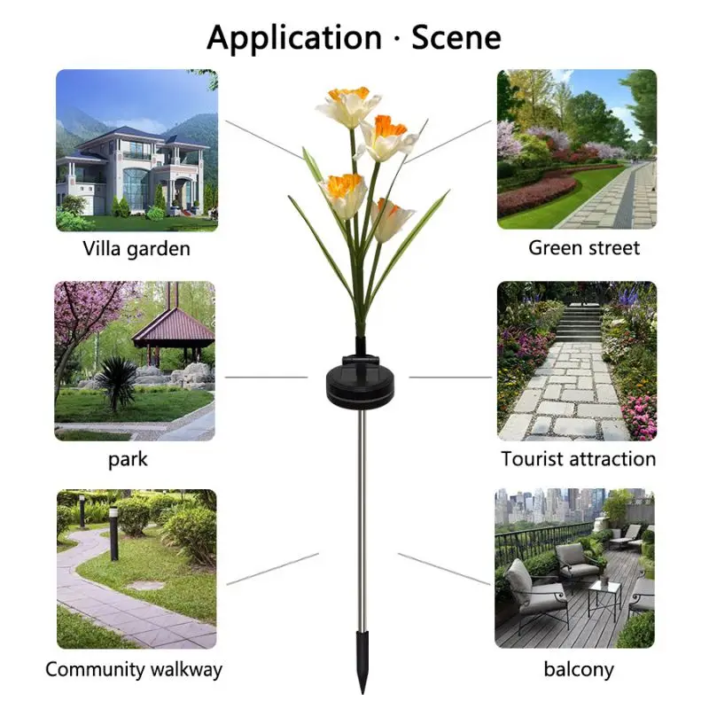 

Solar Daffodils Lights Waterproof Solar Lights Multi-Color LED Flowers Decor Lights Yard Lights Path Lights For Lawn Backyard
