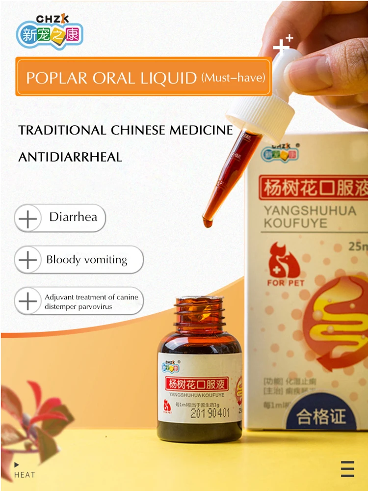 CHZKDog диарея кошка домашнее животное энтерит медицина рвота бактерии инфекция