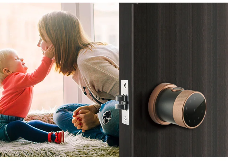 TTlock Wi-Fi приложение Bluetooth дверные замки отпечатков пальцев IC карты цифровой Смарт ручка блокировки