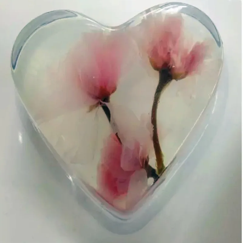 50 г высшего качества Халяль пищевой агар порошок желатин |