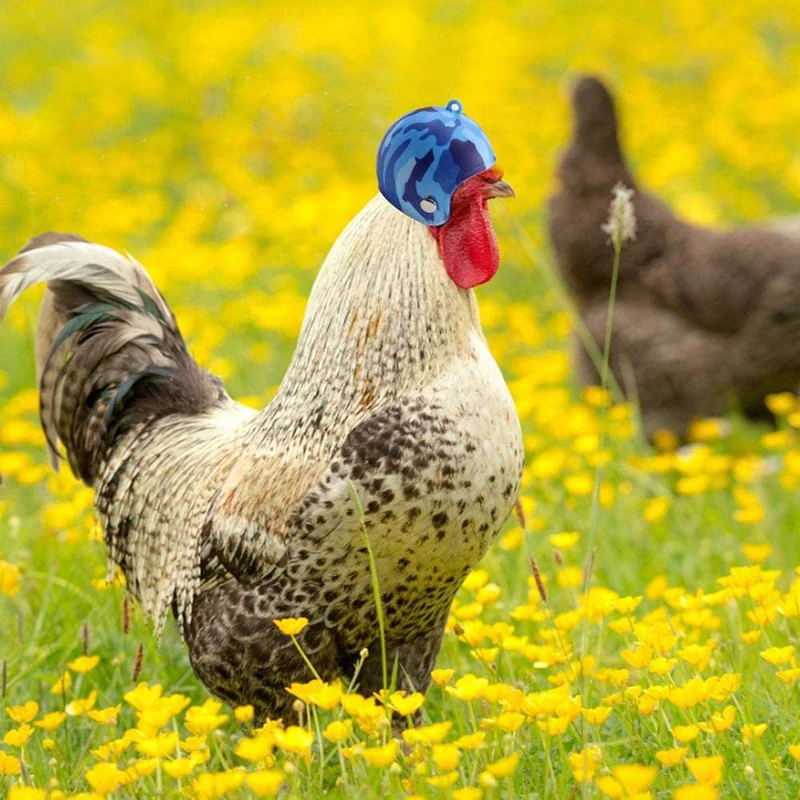 Курица шлем для домашних животных забавные защитный курица каску шапка в форме