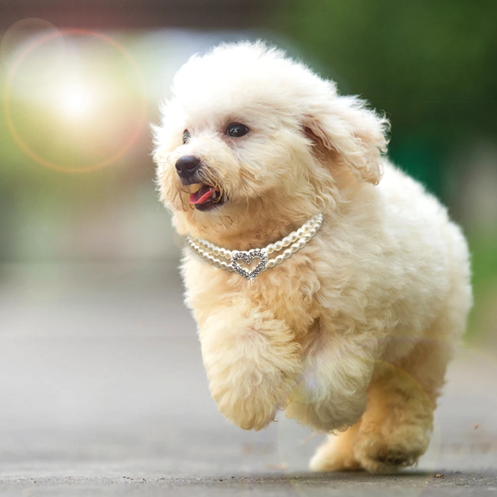 Модное ожерелье для домашних питомцев собаки кошки двух рядов искусственная