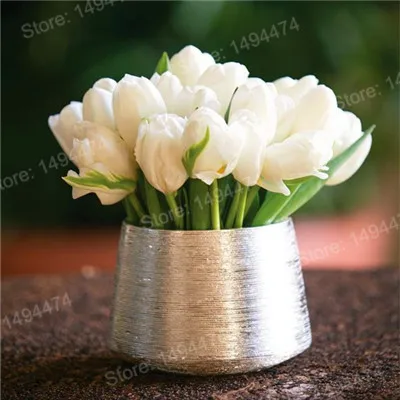 Белый 100pcs Tulip flores White Blue Purple mixed color Flower plantas bonsai flower plante colorful plants for home garden - Цвет: Белый