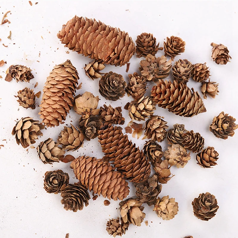 

1 Pack Natural Wooden Pine Cone Wedding Party Birthday Decoration Christmas Tree Home Handwork DIY Jungle Garland Accessories