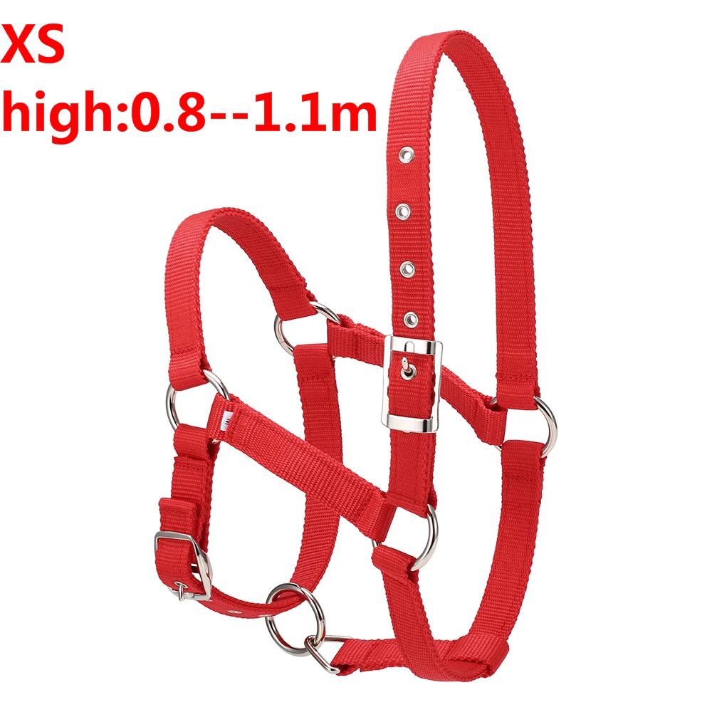 red XS S/M/L 6 мм утолщенный ошейник для головы лошади, регулируемый безопасный ошейник с завязкой на шее, ошейник для верховой езды, оборудование для гонок, тренировочная веревка, горячая распродажа - Цвет: red XS