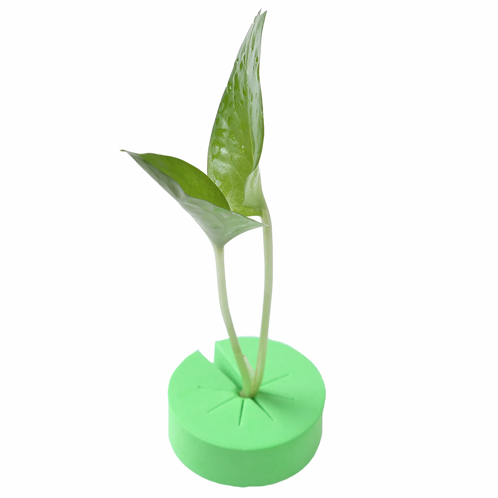 Вкладыши из Неопреновой пены 50 шт. с Cfor гидропоника клонирование растений