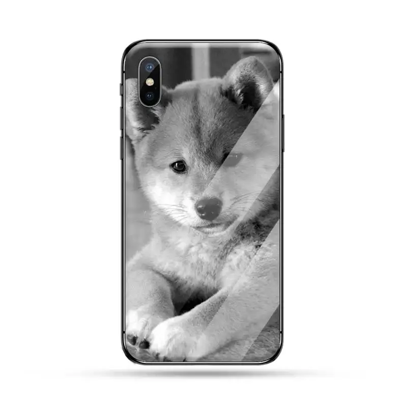 

Corgi Shiba inu Dog Phone Case Tempered glass For iphone 5C 6 6S 7 8 plus X XS XR 11 PRO MAX